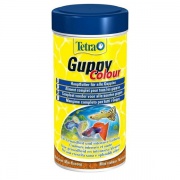 Guppy Colour Flakes 100         